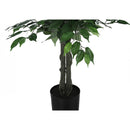  Monarch I 9564 Indoor Ficus Tree IMAGE 2