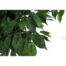  Monarch I 9564 Indoor Ficus Tree IMAGE 3