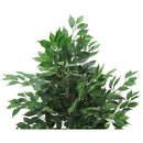  Monarch I 9564 Indoor Ficus Tree IMAGE 4