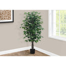  Monarch I 9564 Indoor Ficus Tree IMAGE 5