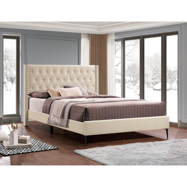 IFDC Queen Upholstered Platform Bed IF 5592 - 60 IMAGE 1