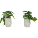 Monarch Home Decor Artificial Plants I 9582 IMAGE 1