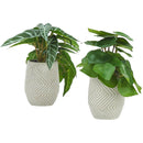 Monarch Home Decor Artificial Plants I 9582 IMAGE 3