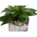 Monarch Home Decor Artificial Plants I 9586 IMAGE 4