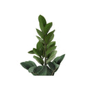 Monarch Home Decor Artificial Plants I 9500 IMAGE 5