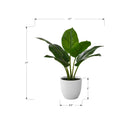 Monarch Home Decor Artificial Plants I 9502 IMAGE 6