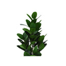 Monarch Home Decor Artificial Plants I 9504 IMAGE 5