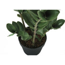 Monarch Home Decor Artificial Plants I 9506 IMAGE 3