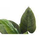 Monarch Home Decor Artificial Plants I 9509 IMAGE 4