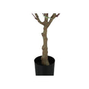 Monarch Home Decor Artificial Plants I 9518 IMAGE 3