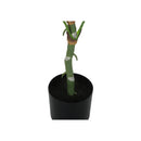 Monarch Home Decor Artificial Plants I 9519 IMAGE 3