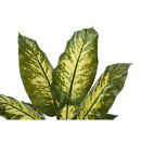 Monarch Home Decor Artificial Plants I 9535 IMAGE 4