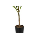 Monarch Home Decor Artificial Plants I 9547 IMAGE 3
