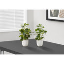 Monarch Home Decor Artificial Plants I 9557 IMAGE 1
