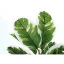 Monarch Home Decor Artificial Plants I 9572 IMAGE 4