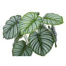 Monarch Home Decor Artificial Plants I 9577 IMAGE 5
