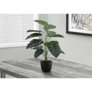 Monarch Home Decor Artificial Plants I 9578 IMAGE 1