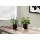 Monarch Home Decor Artificial Plants I 9580 IMAGE 1