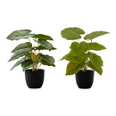 Monarch Home Decor Artificial Plants I 9583 IMAGE 2