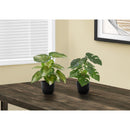 Monarch Home Decor Artificial Plants I 9584 IMAGE 1