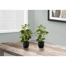 Monarch Home Decor Artificial Plants I 9585 IMAGE 1