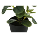 Monarch Home Decor Artificial Plants I 9585 IMAGE 3