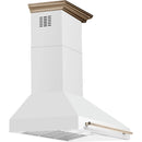  Forno 48-inch Aria Wall-Mounted Range Hood FRHWM5095-48WHT IMAGE 3