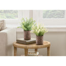  Monarch I 9360 2Pcs 12"H Mulberry Grass / 4" Pot - Green/Brown IMAGE 1