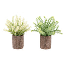  Monarch I 9360 2Pcs 12"H Mulberry Grass / 4" Pot - Green/Brown IMAGE 4