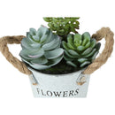  Monarch I 9361 2Pcs 7"H Succulent In 5" Metal Pot - Green/Brown/White IMAGE 3
