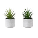  Monarch I 9362 2Pcs 9"H Succulent In 5" Cement Pot - Green/White IMAGE 1