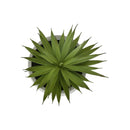  Monarch I 9362 2Pcs 9"H Succulent In 5" Cement Pot - Green/White IMAGE 2
