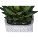  Monarch I 9363 2Pcs 8"H Succulent In 5" Cement Pot - Green/White IMAGE 3
