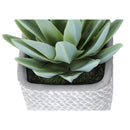  Monarch I 9363 2Pcs 8"H Succulent In 5" Cement Pot - Green/White IMAGE 6