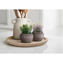  Monarch I 9364 2Pcs 8"H Succulent In 6" Cement Pot - Green/Brown IMAGE 3