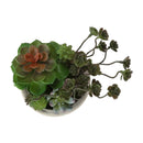  Monarch I 9365 2Pcs 9"H Succulent In 5" Cement Pot - Green/Beige IMAGE 2