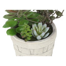  Monarch I 9365 2Pcs 9"H Succulent In 5" Cement Pot - Green/Beige IMAGE 3