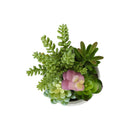  Monarch I 9366 2Pcs 9"H Succulent In 5" Cement Pot - Green/White IMAGE 1