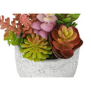 Monarch I 9366 2Pcs 9"H Succulent In 5" Cement Pot - Green/White IMAGE 3
