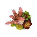 Monarch I 9366 2Pcs 9"H Succulent In 5" Cement Pot - Green/White IMAGE 4