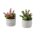  Monarch I 9366 2Pcs 9"H Succulent In 5" Cement Pot - Green/White IMAGE 5