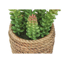  Monarch I 9367 2Pcs 7"H Succulent In 4" Cement Pot - Green/Brown IMAGE 6