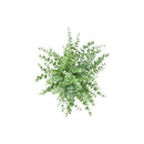  Monarch I 9368 2Pcs 16"H Eucalyptus / Grass / 6" Pot - Green/White IMAGE 1