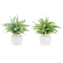  Monarch I 9368 2Pcs 16"H Eucalyptus / Grass / 6" Pot - Green/White IMAGE 2