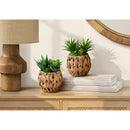  Monarch I 9369 2Pcs 9"H Succulent In 6" Woven Pot - Green/Brown IMAGE 2