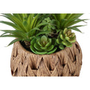  Monarch I 9369 2Pcs 9"H Succulent In 6" Woven Pot - Green/Brown IMAGE 3