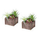  Monarch I 9371 2Pcs 10"H Succulent In 7"X7" Wood Pot - Green/Brown/White IMAGE 1
