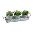  Monarch I 9372 3Pcs 6"H Succulent Iron Pot/ Metal Tray - Green/Silver IMAGE 1