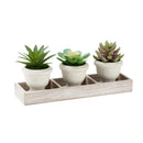  Monarch I 9373 3Pcs 6"H Succulent Beige Pot/ Wood Tray - Green/Natural IMAGE 1