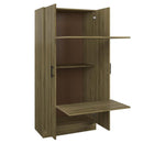 SUA-V RONEY cabinet